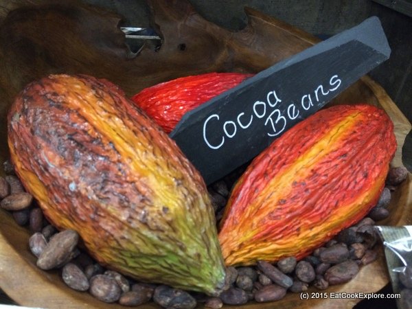 cocoa pods and cocoa beans